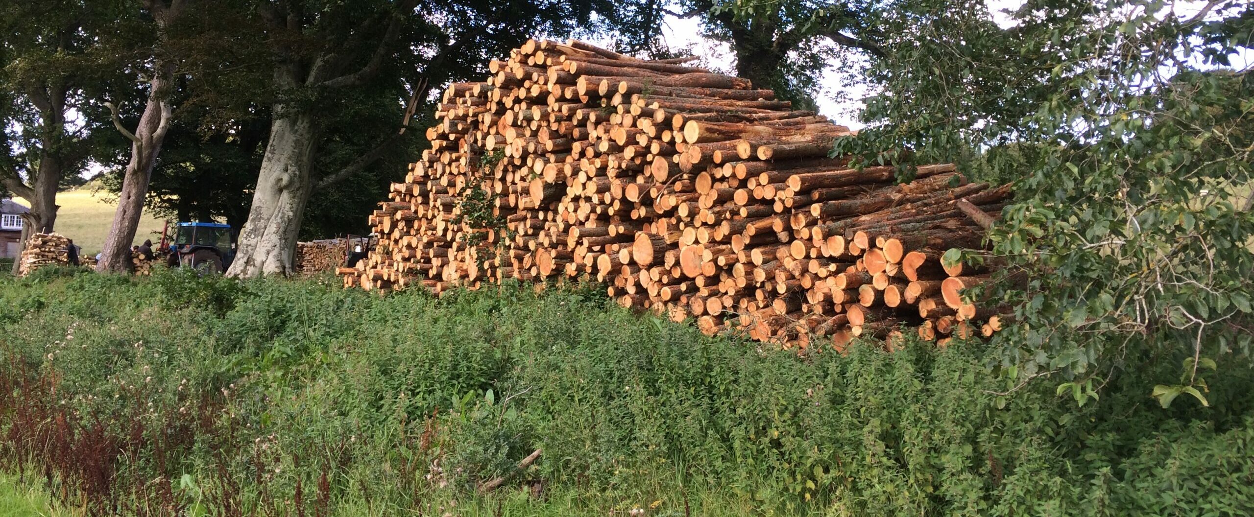 A firewood stack