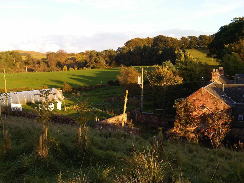 The farm from the hill behind